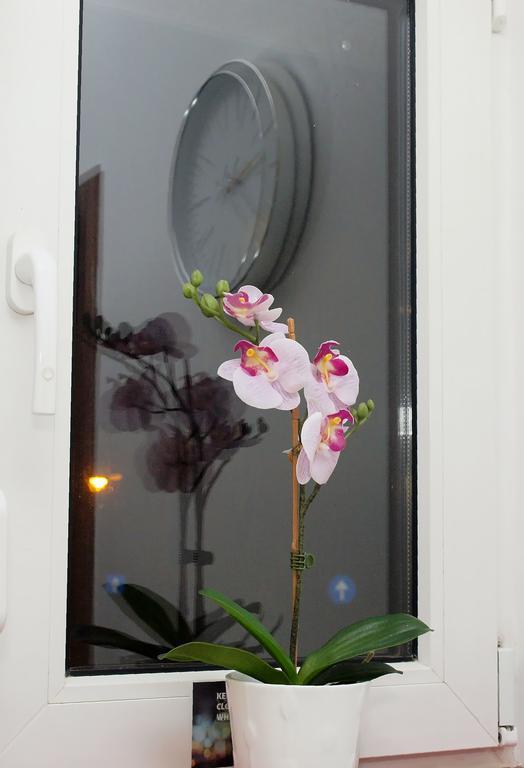 Fancy 1Bd Family Friendly In Historical Centre Apartment Bucharest Luaran gambar